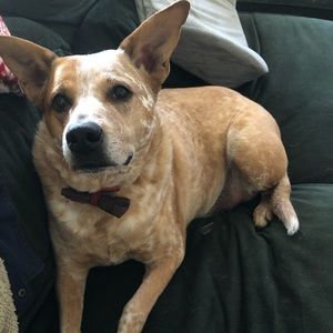 Meet your Posher, Christopher